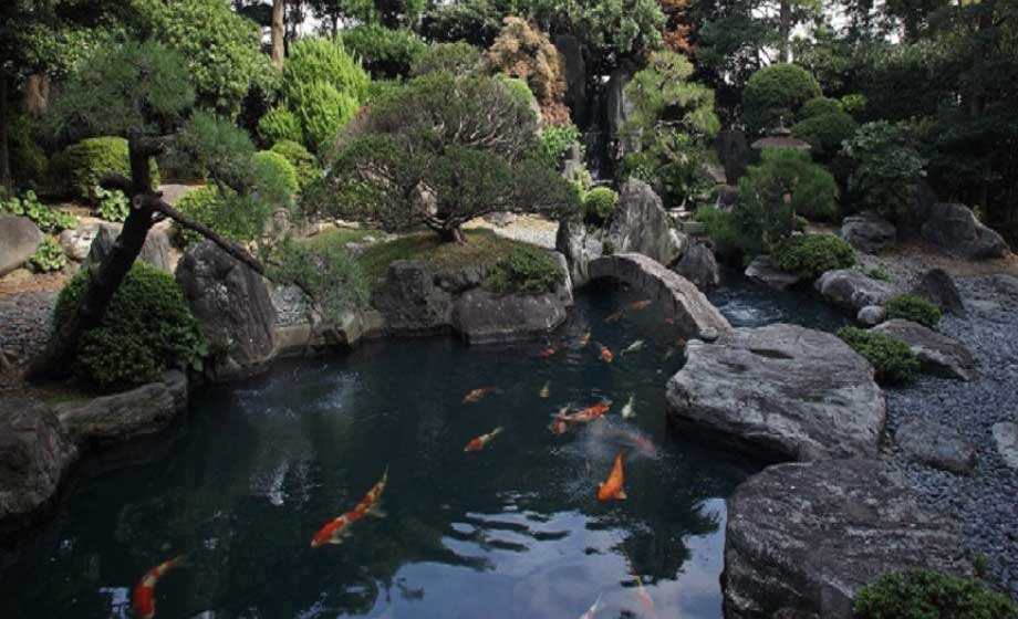 日本庭園 写真